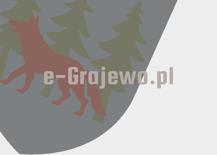 Grajewo ogłoszenia: Dzień dobry,poszukuję dyspozycyjnej opiekunki do odbierania syna...